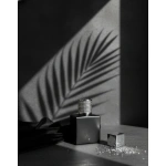 Toronto Set 50 ML - Mat Siyah - Görsel 4
